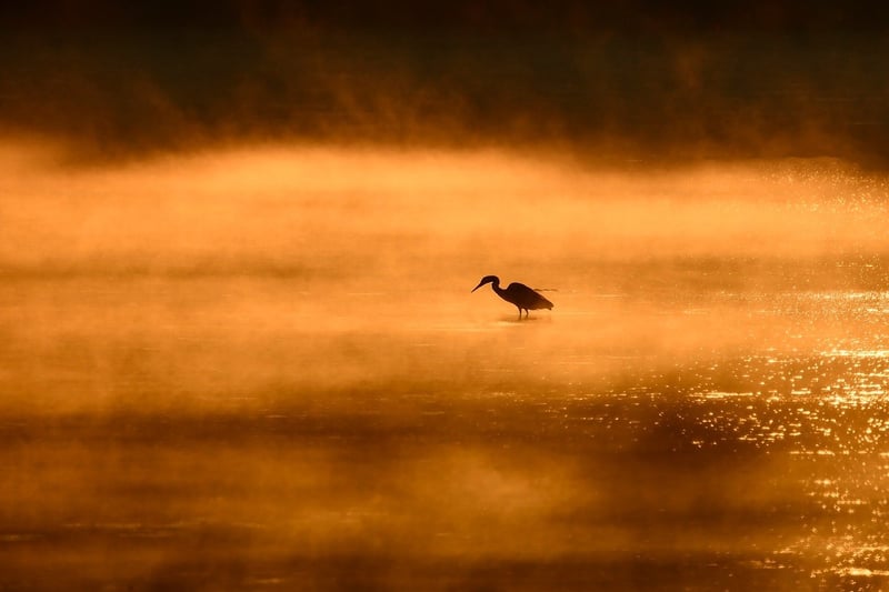 Sunrise on a beach